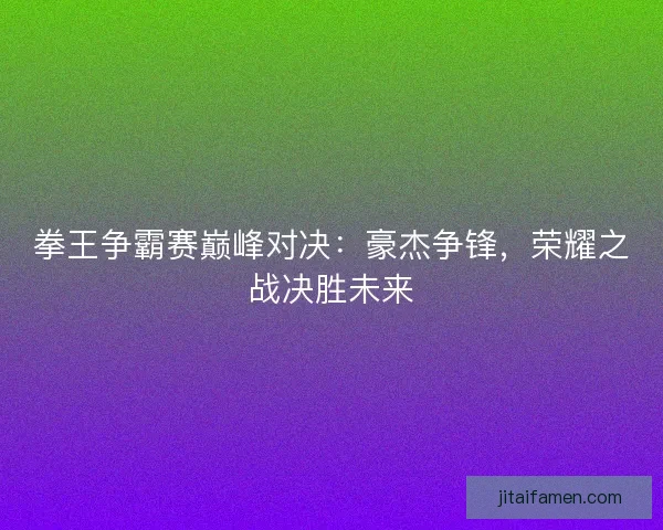 拳王争霸赛巅峰对决：豪杰争锋，荣耀之战决胜未来